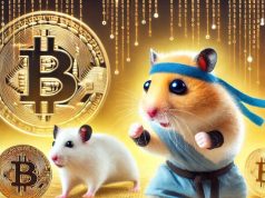 Hamster Kombat sắp ra mắt blockchain Layer-2 độc quyền trên TON