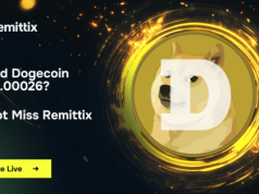 [QC] Dogecoin và Pepe mất đi sự ủng hộ của các nhà đầu tư trong khi sự quan tâm đến loại tiền điện tử này đang tăng vọt