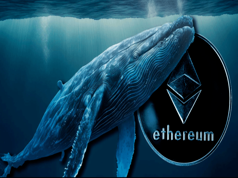 CÁ VOI ETHER ĐÃ THÊM 14% TIỀN XU KỂ TỪ MỨC GIÁ THẤP NHẤT VÀO THÁNG 4